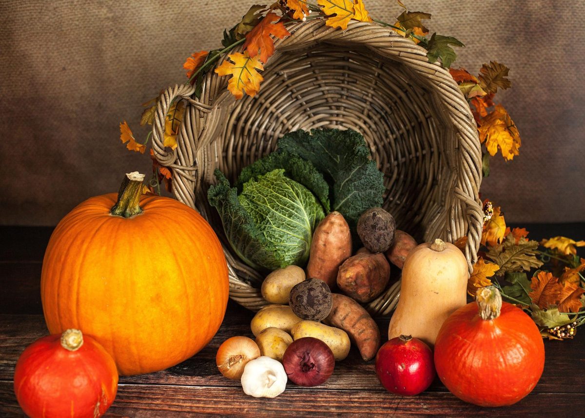 NDCL Spreads Joy and Gratitude with Thanksgiving “Gobble and Seek”