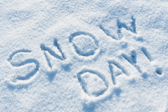 NDCL Endures Three Snow Days in a Row and Lives to Tell the Tale